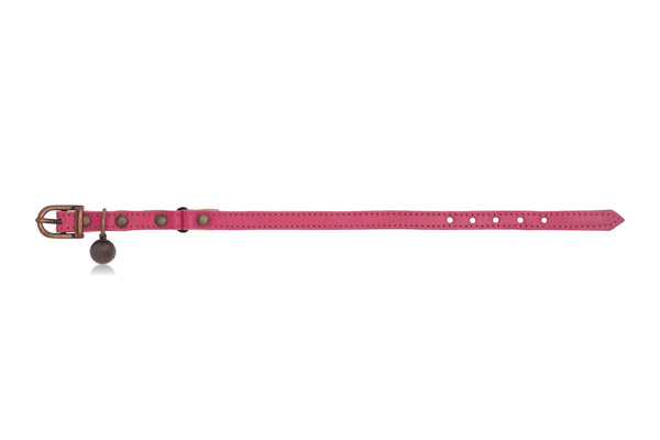 Linny cat best sale collar