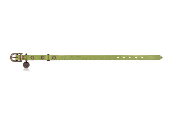 Linny deals cat collar