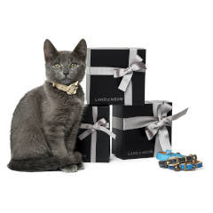 Gift Cards Galore at Land of Meow – Designer Cat Products | Luxury Cat Accessories