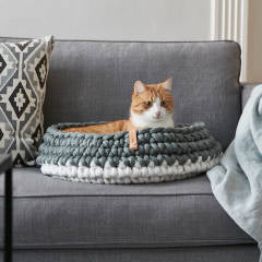 Top 5 Things You Need to Consider When Buying a Designer Cat Bed