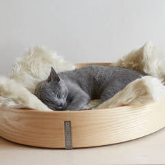 How to Find The Perfect Designer Cat Bed | Luxury Cat Products