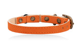 Land of Meow Linny Cat Collar Orange with Antique Bronze Bell Back