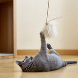 Cat Toy